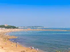 海滨暴熊队对阵嵩山雪豹队，F1超级杯失利，内线统治篮板——门前嗅觉决定胜负的简单介绍